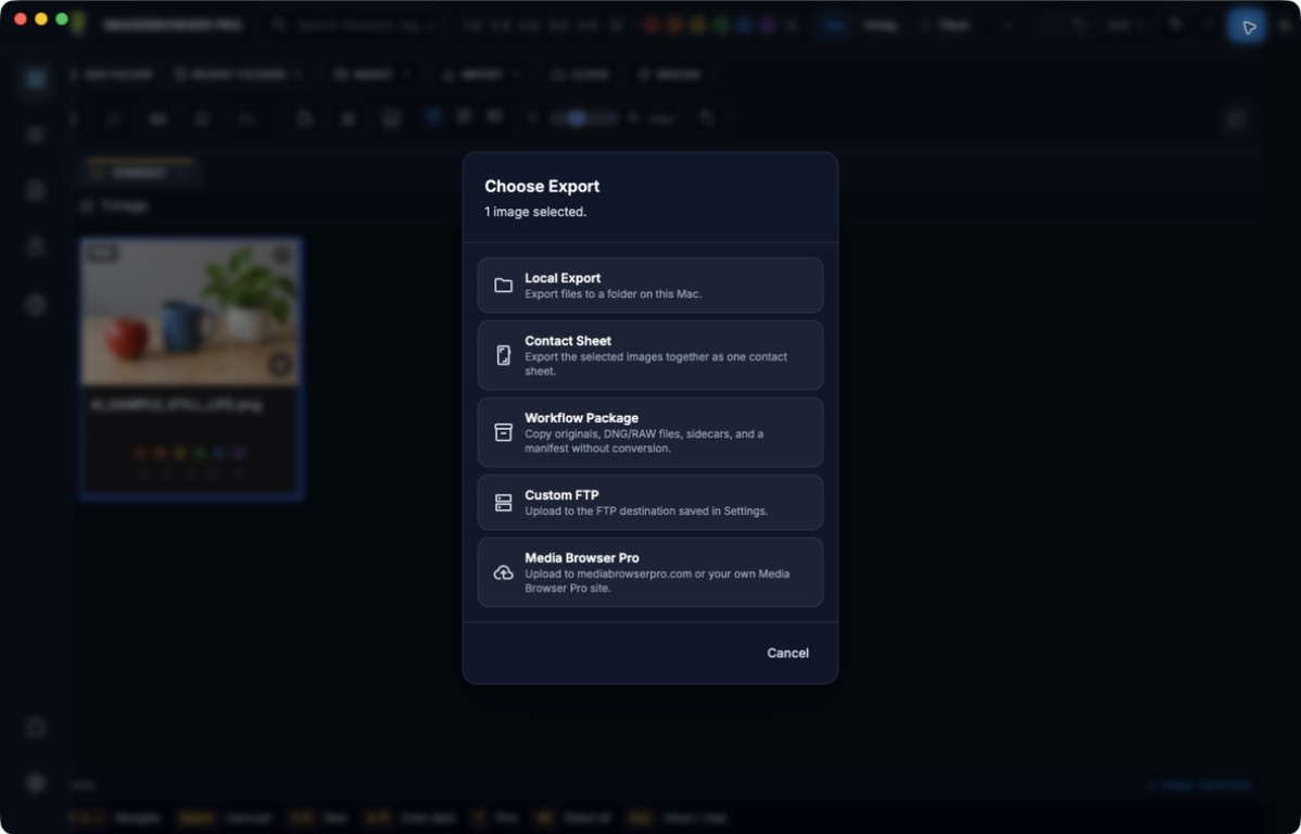 Choose Export dialog listing Local Export, Contact Sheet, Workflow Package, Custom FTP and Media Browser Pro.