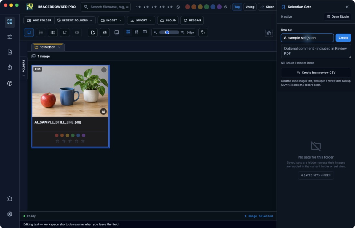 Selection Sets panel with a sample set name and one selected AI-generated image.